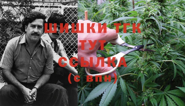 дурь Волосово