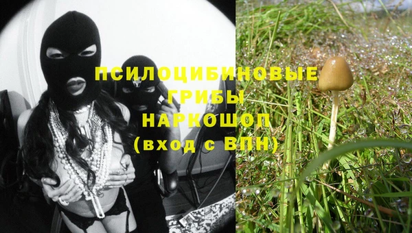 крисы Алзамай