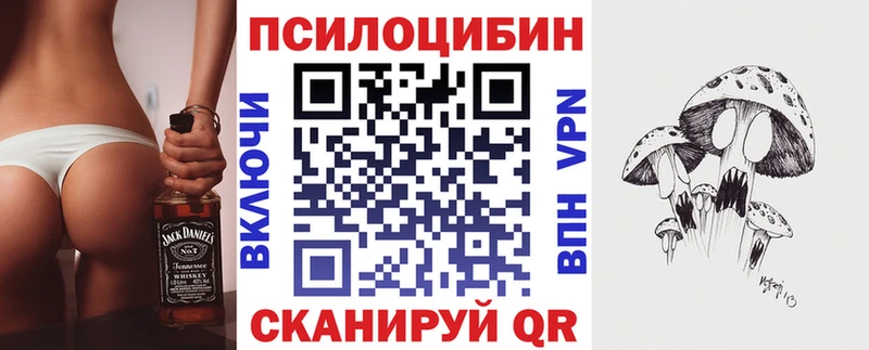 Псилоцибиновые грибы Psilocybe  OMG как зайти  Йошкар-Ола  даркнет сайт 